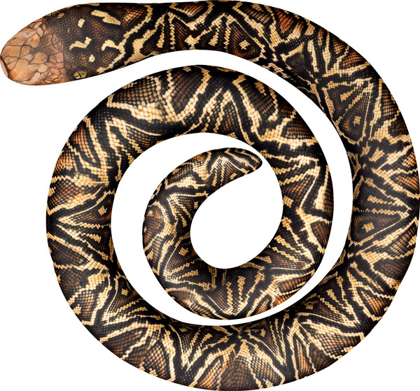 Изображение товара Мягкая игрушка Leader Toys Питон спираль / МТ11030