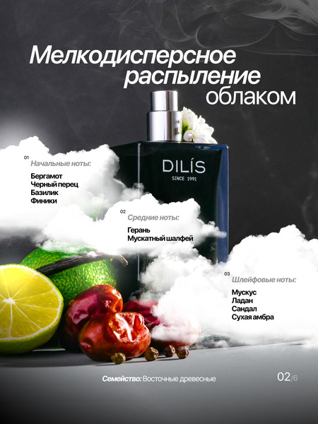 Изображение товара Парфюмерная вода Dilis Parfum Day&Night Dark night (100мл)