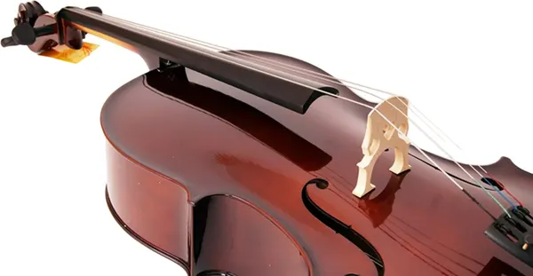 Изображение товара Виолончель Caraya MC760R-1/2