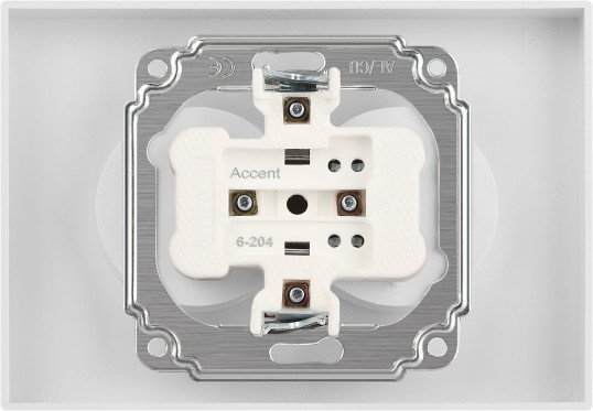 Изображение товара Розетка INTRO Accent 6-204-06 / Б0063446 (перламутр)