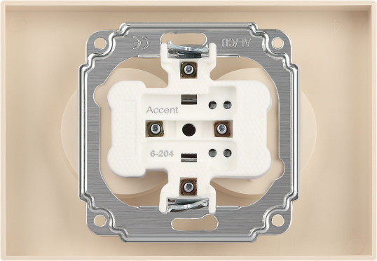 Изображение товара Розетка INTRO Accent 6-204-04 / Б0063462 (шампань)
