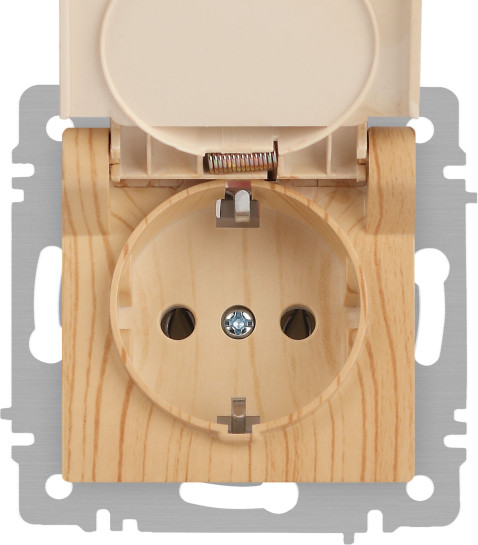 Изображение товара Розетка INTRO Accent 6-203-11 / Б0063479 (сосна)