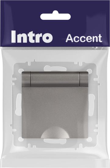Изображение товара Розетка INTRO Accent 6-203-09 / Б0063471 (титан)
