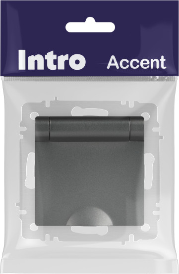 Изображение товара Розетка INTRO Accent 6-203-07 / Б0063441 (графит)