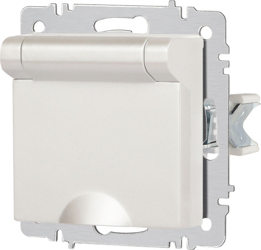 Изображение товара Розетка INTRO Accent 6-203-06 / Б0063429 (перламутр)