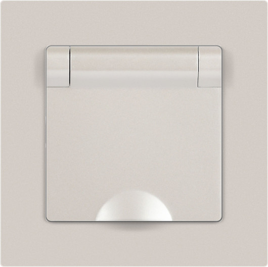 Изображение товара Розетка INTRO Accent 6-203-06 / Б0063429 (перламутр)