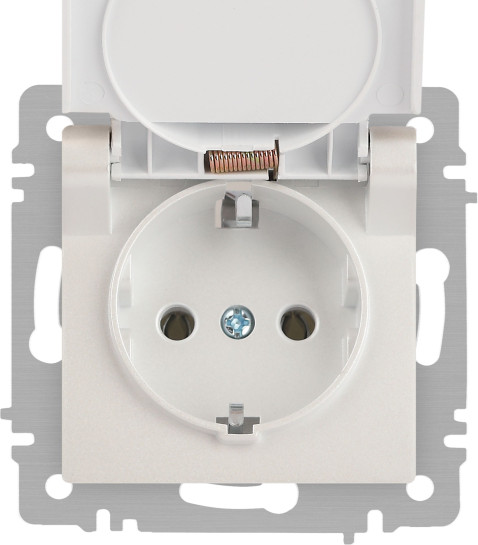 Изображение товара Розетка INTRO Accent 6-203-06 / Б0063429 (перламутр)