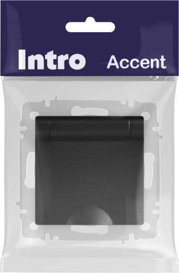 Изображение товара Розетка INTRO Accent 6-203-05 / Б0063747 (антрацит)