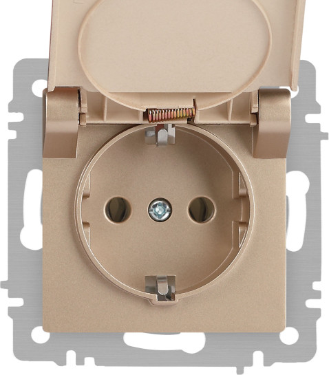 Изображение товара Розетка INTRO Accent 6-203-04 / Б0063738 (шампань)