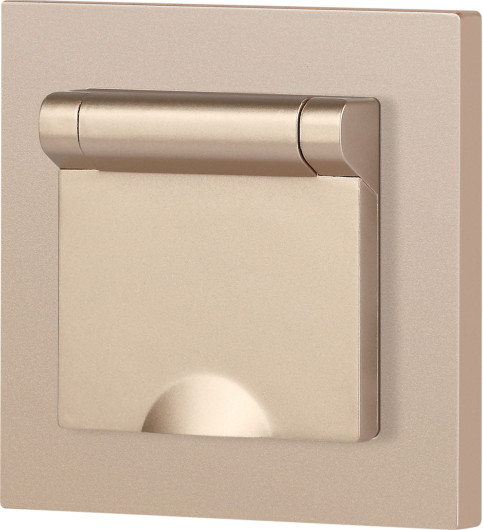 Изображение товара Розетка INTRO Accent 6-203-04 / Б0063738 (шампань)