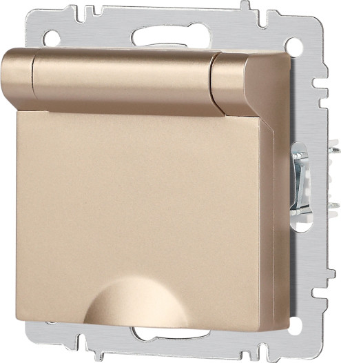 Изображение товара Розетка INTRO Accent 6-203-04 / Б0063738 (шампань)