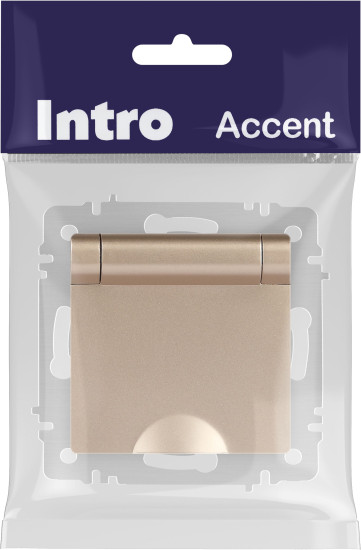 Изображение товара Розетка INTRO Accent 6-203-04 / Б0063738 (шампань)