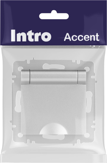 Изображение товара Розетка INTRO Accent 6-203-03 / Б0063721 (алюминий)