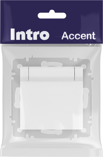 Изображение товара Розетка INTRO Accent 6-203-01М / Б0063713 (белый матовый)