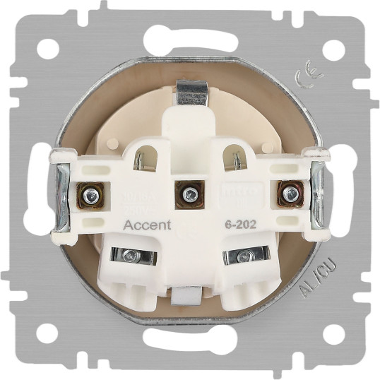 Изображение товара Розетка INTRO Accent 6-202-11 / Б0063706 (cосна)