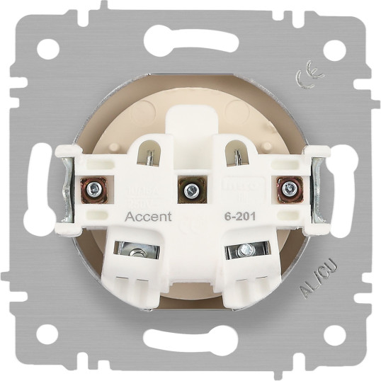 Изображение товара Розетка INTRO Accent 6-201-04 / Б0063663 (шампань)