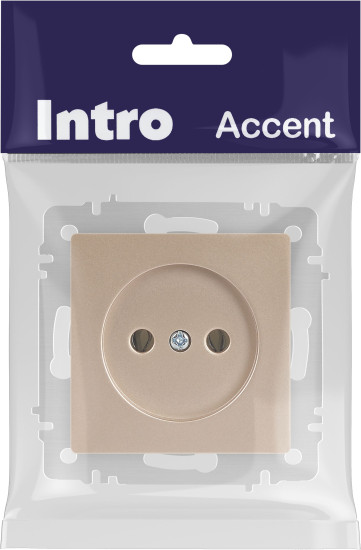 Изображение товара Розетка INTRO Accent 6-201-04 / Б0063663 (шампань)