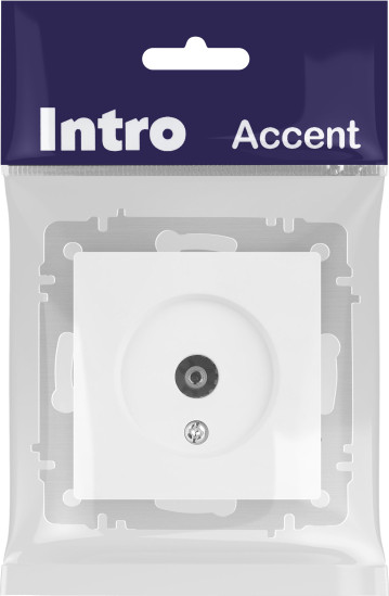 Изображение товара Розетка INTRO Accent 6-301-01М / Б0063603 (белый матовый)