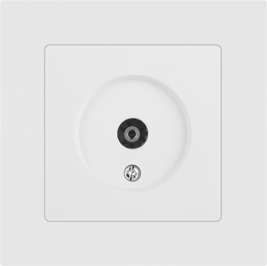 Изображение товара Розетка INTRO Accent 6-301-01М / Б0063603 (белый матовый)