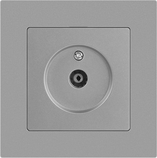 Изображение товара Розетка INTRO Accent 6-301-03 / Б0063607 (алюминий)