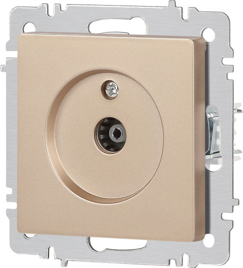 Изображение товара Розетка INTRO Accent 6-301-04 / Б0063609 (шампань)