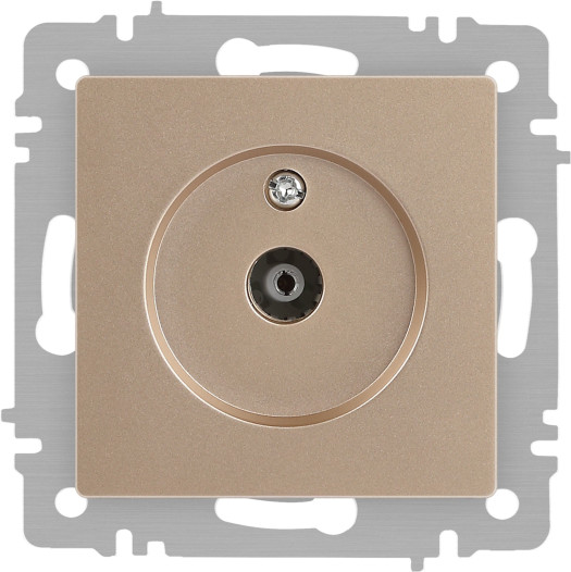 Изображение товара Розетка INTRO Accent 6-301-04 / Б0063609 (шампань)