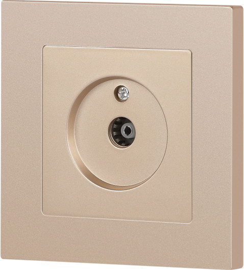 Изображение товара Розетка INTRO Accent 6-301-04 / Б0063609 (шампань)