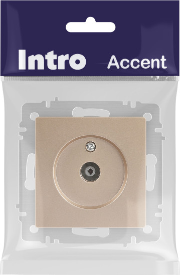 Изображение товара Розетка INTRO Accent 6-301-04 / Б0063609 (шампань)