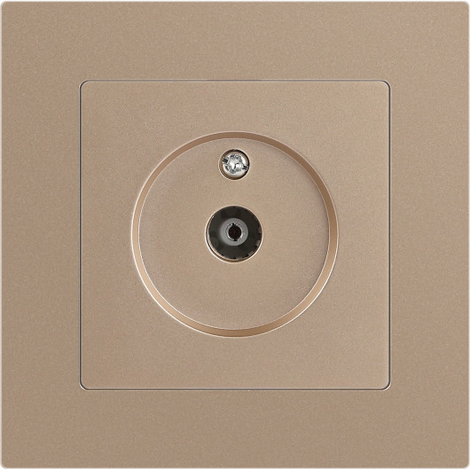 Изображение товара Розетка INTRO Accent 6-301-04 / Б0063609 (шампань)