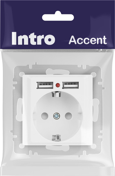 Изображение товара Розетка INTRO Accent 6-410-01М / Б0063691 (белый матовый)