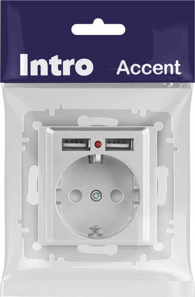 Изображение товара Розетка INTRO Accent 6-410-03 / Б0063694 (алюминий)