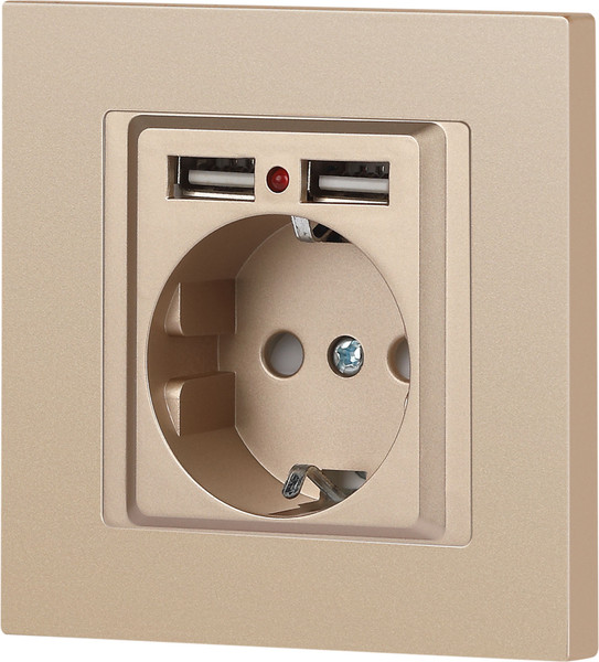 Изображение товара Розетка INTRO Accent 6-410-04 / Б0063696 (шампань)