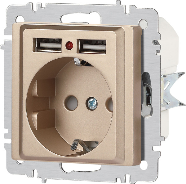 Изображение товара Розетка INTRO Accent 6-410-04 / Б0063696 (шампань)