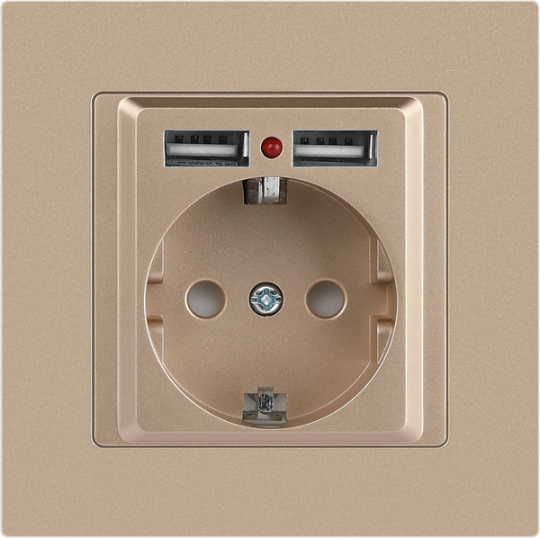 Изображение товара Розетка INTRO Accent 6-410-04 / Б0063696 (шампань)