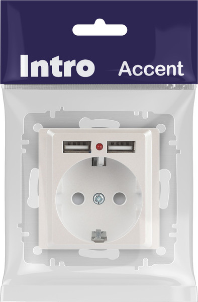 Изображение товара Розетка INTRO Accent 6-410-06 / Б0063700 (перламутр)