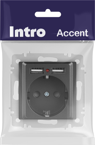 Изображение товара Розетка INTRO Accent 6-410-07 / Б0063702 (графит)