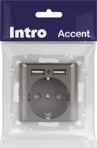 Изображение товара Розетка INTRO Accent 6-410-09 / Б0063711 (титан)