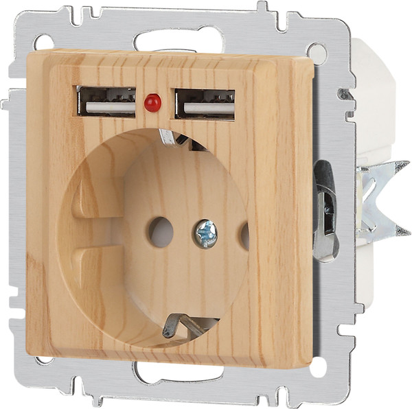Изображение товара Розетка INTRO Accent 6-410-11 / Б0063720 (сосна)