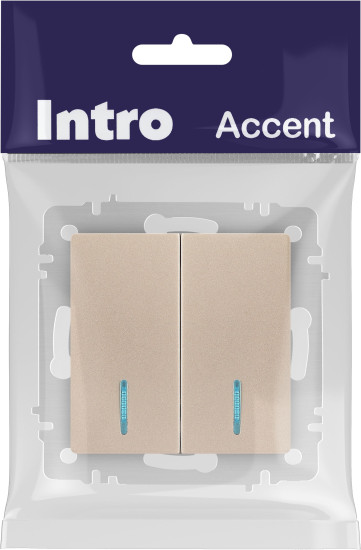 Изображение товара Выключатель INTRO Accent 6-105-04 / Б0063513 (шампань)