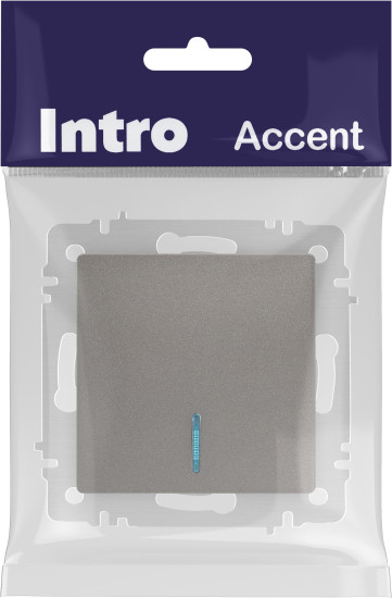 Изображение товара Выключатель INTRO Accent 6-102-09 / Б0063460 (титан)