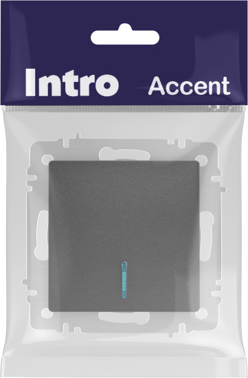Изображение товара Выключатель INTRO Accent 6-102-07 / Б0063434 (графит)