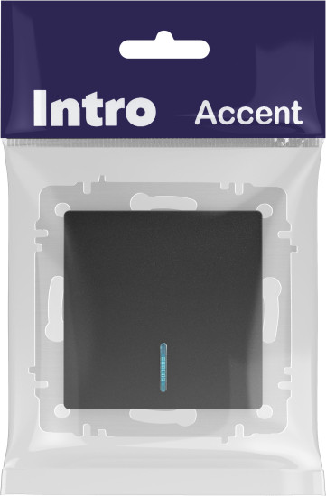 Изображение товара Выключатель INTRO Accent 6-102-05 / Б0063431 (антрацит)