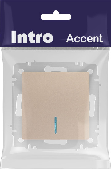 Изображение товара Выключатель INTRO Accent 6-102-04 / Б0063475 (шампань)