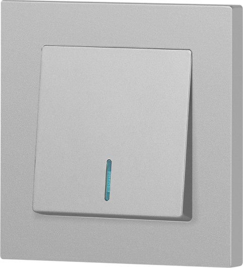 Изображение товара Выключатель INTRO Accent 6-102-03 / Б0063478 (алюминий)