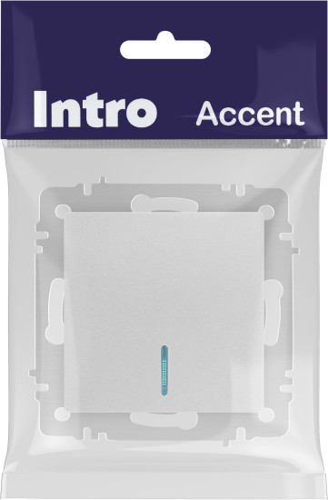 Изображение товара Выключатель INTRO Accent 6-102-03 / Б0063478 (алюминий)