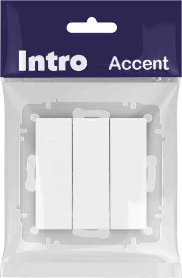 Изображение товара Выключатель INTRO Accent 6-106-01М / Б0063532 (белый матовый)