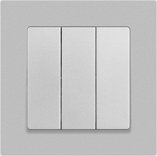 Изображение товара Выключатель INTRO Accent 6-106-03 / Б0063536 (алюминий)