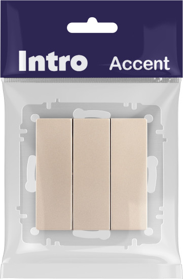 Изображение товара Выключатель INTRO Accent 6-106-04 / Б0063538 (шампань)
