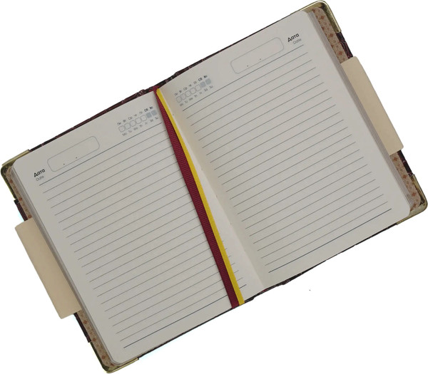 Изображение товара Ежедневник Listoff Lizard / ЕКП52515202 (зеленый)