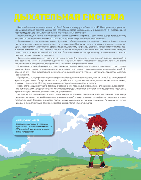 Изображение товара Книга АСТ Атлас анатомии в стиле манга, мягкая обложка (Махумото Кадзуто)